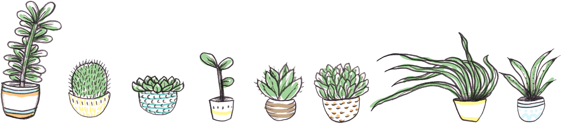 148-1485879_hanging-plant-png.png