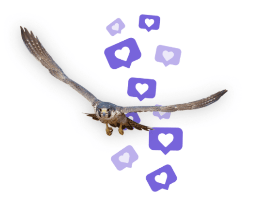 1630811190527.png