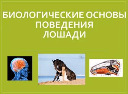 1673961069721.png