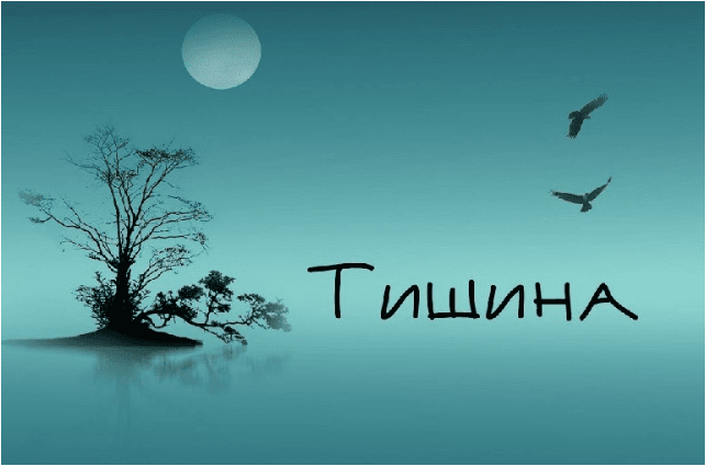 1676158348229.png