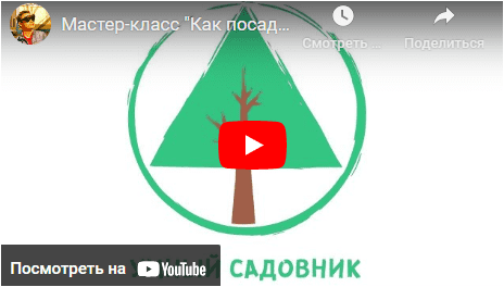 1691785557402.png