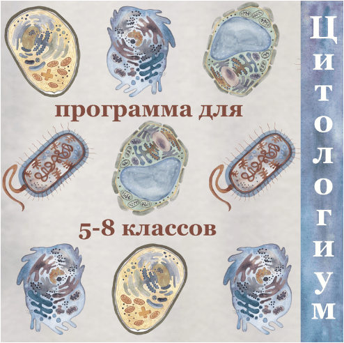 1694301782725.png