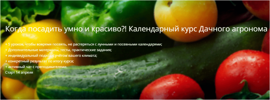 1713392237900.png