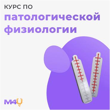1715045988318.png