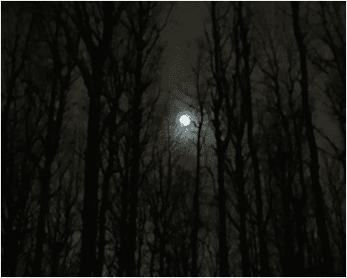 1720371808325.png