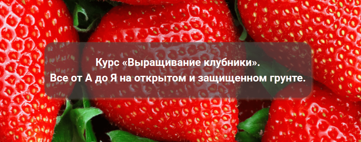 2025-03-08_15-09-49.png