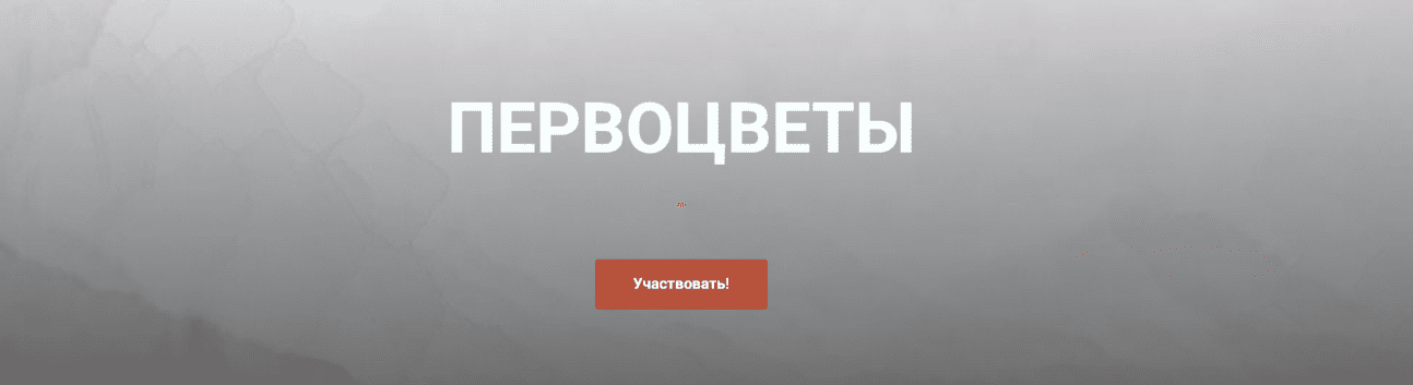 2025-04-04_11-41-24.png