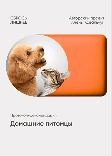 2026-03-24_06-15-06.png