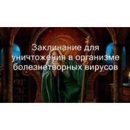 8071-7103-large.jpg
