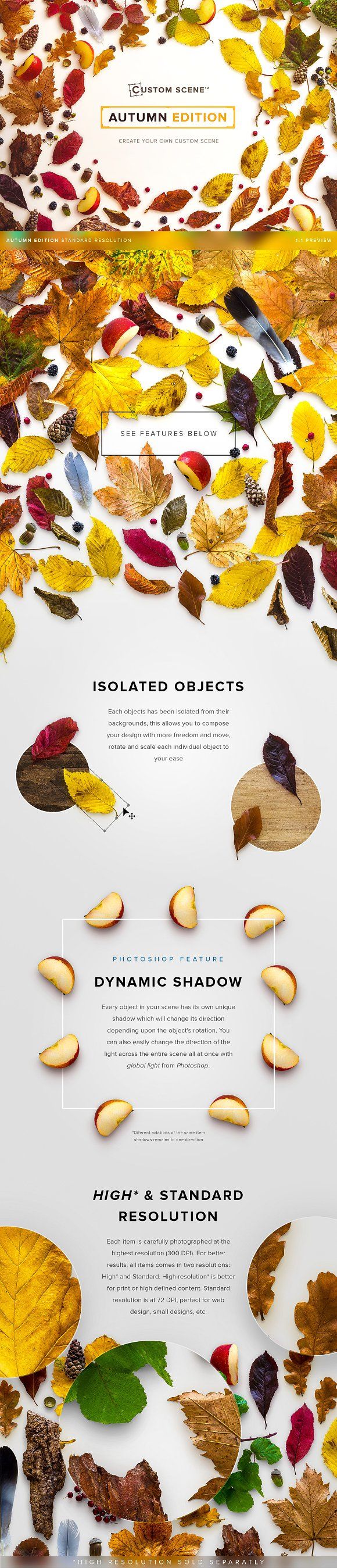 autumn-edition-custom-scene-.jpg