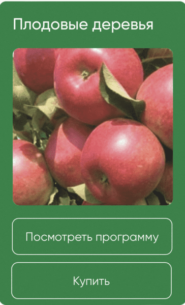  экрана 2024-07-28 в 20.40.12.png