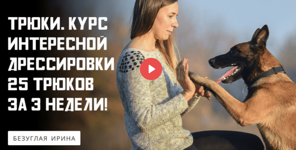 экрана 2024-08-22 в 17.49.00.png