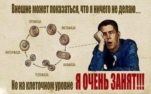 etjXUzl5ZRI.jpg