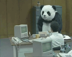 giphy-6.gif
