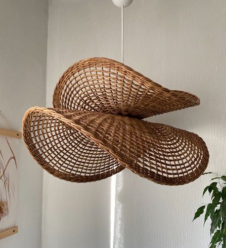 .jpg