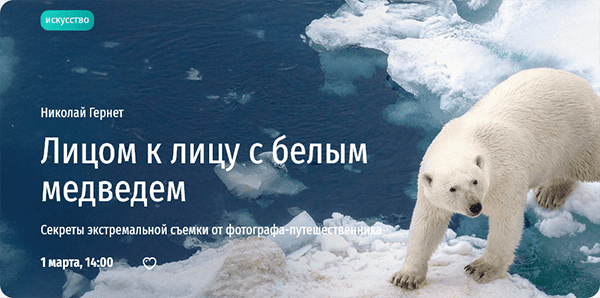  к лицу с белым медведем. Николай Гернет.png