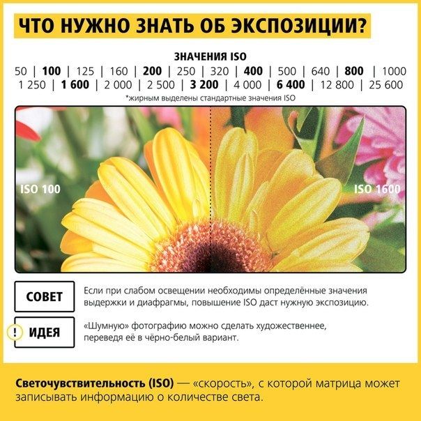 lqhXYIF1-pw.jpg