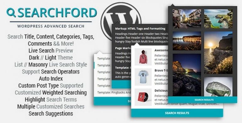 Searchford-770x391.jpg
