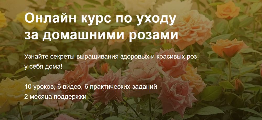 !Снимок.jpg