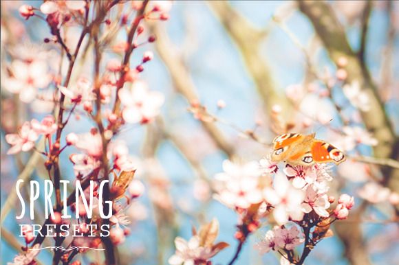 spring-f.jpg