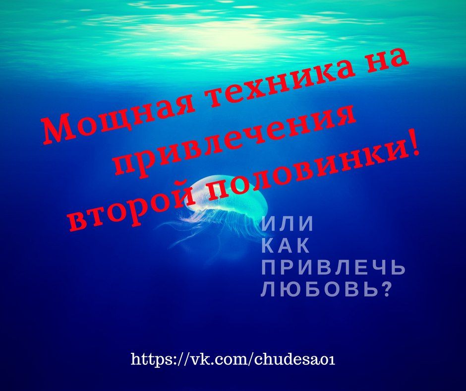 tKZAKS91Pao.jpg