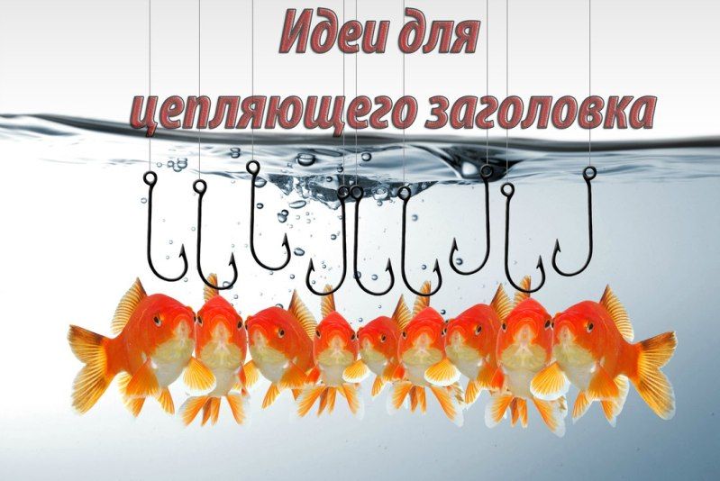 ukDevq1yEq4.jpg